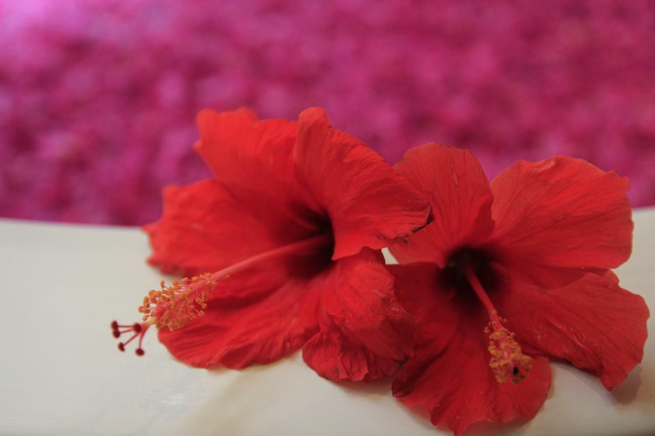 Kokonut Suites Seminyak Dalung  Экстерьер фото